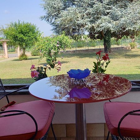 B & B Cedro Argentato Legnago Exterior photo