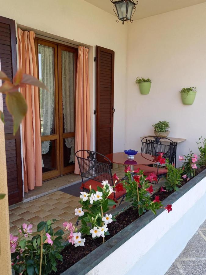 B & B Cedro Argentato Legnago Exterior photo
