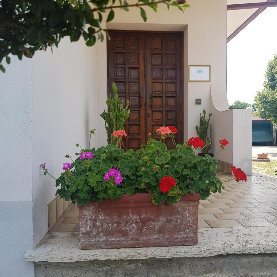 B & B Cedro Argentato Legnago Exterior photo